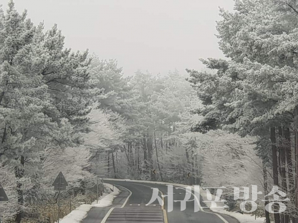 한라산 1100도로