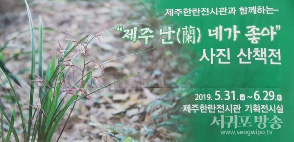 6월 29일까지 제주 한란전시관, 난초 사진전 “제주 난 네가 좋아”