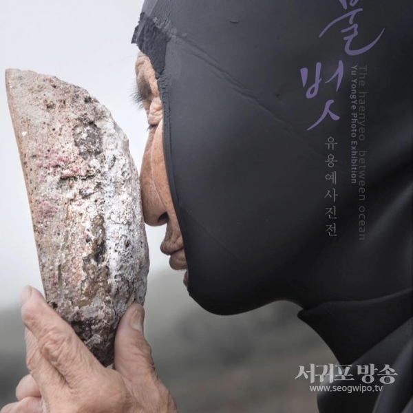 유용예 사진작가가 찍은 해녀