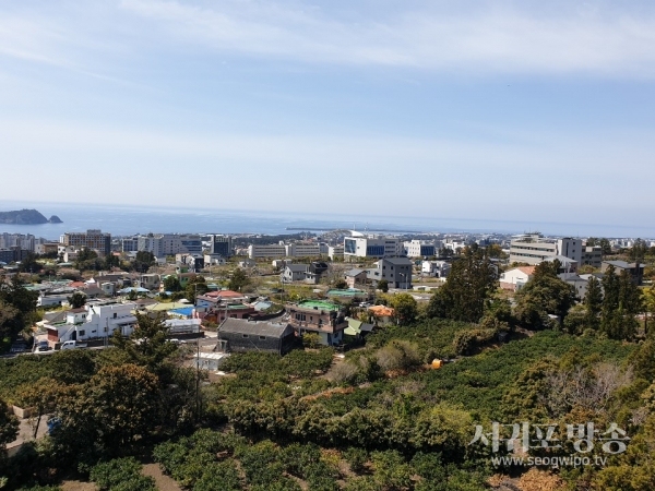 아직도 제자리를 못찾은 서귀포시 호근동의 제주혁신도시