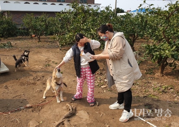 서귀포시 남원읍은 지역주민들과 합동으로 유기견 민원에 적극 대응하고 있다.
