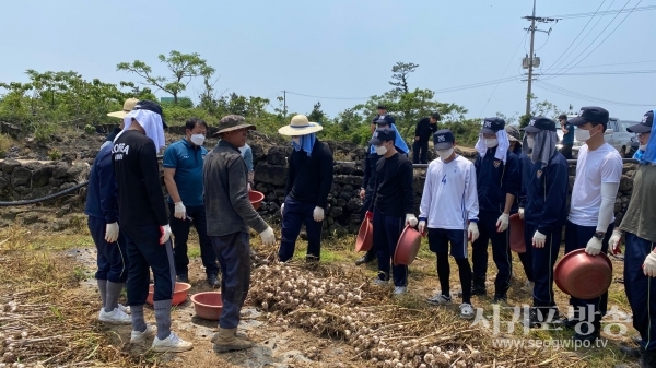 제주해안경비단 제129의무경찰대는 28일 제주시 한경면에 위치한 마늘 농가에서  봉사했다.