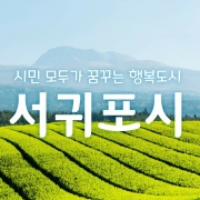 서귀포시