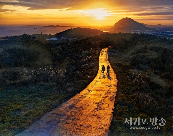 신준철사진작가의 군산 올레길