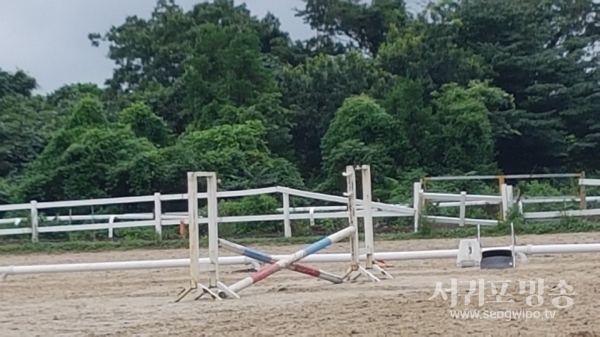 장애물 경기연습 승마장 사진