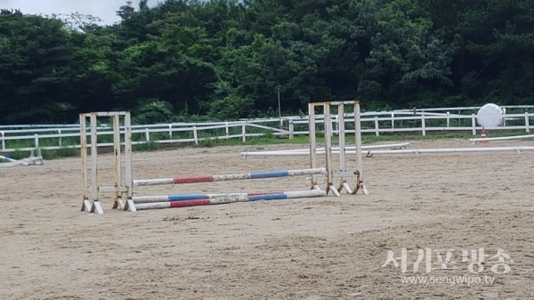 장애물 경기연습 승마장 사진