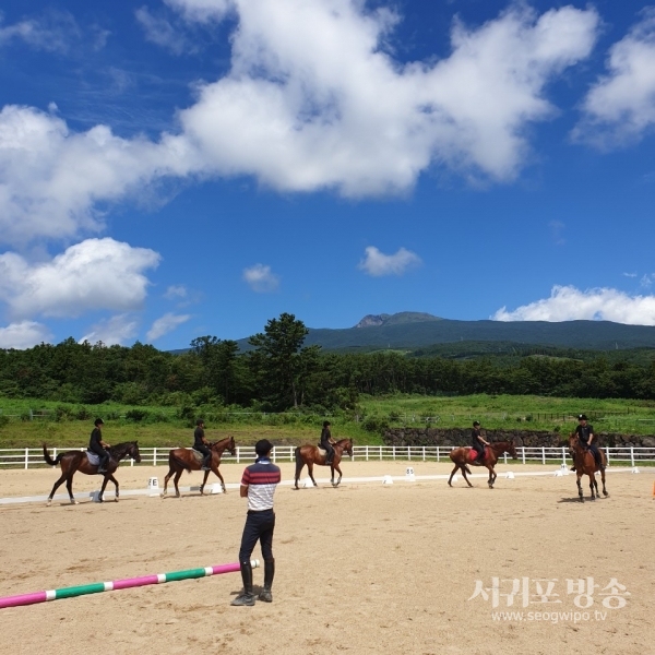 서귀포산업과학고등학교가 서귀산과고 교육마장이 도내 최초로 한국마사회로부터 승마지도사 및 말산업 국가자격 실기시험장으로 지정됐다.
