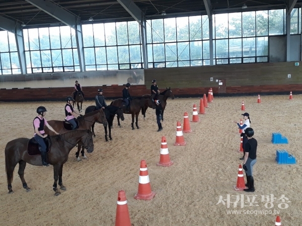 서귀포산업과학고등학교가 서귀산과고 교육마장이 도내 최초로 한국마사회로부터 승마지도사 및 말산업 국가자격 실기시험장으로 지정됐다.