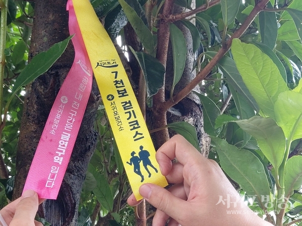 서귀포보건소가 시민 걷기 실천율 향상을 위해 걸매생태공원에서 칠십리시공원 전망대까지 하루 7천보 걷기 코스 조성과 안내 리본 부착을 완료하고 매주 걷기 실천을 유도해 나가기로 했다.
