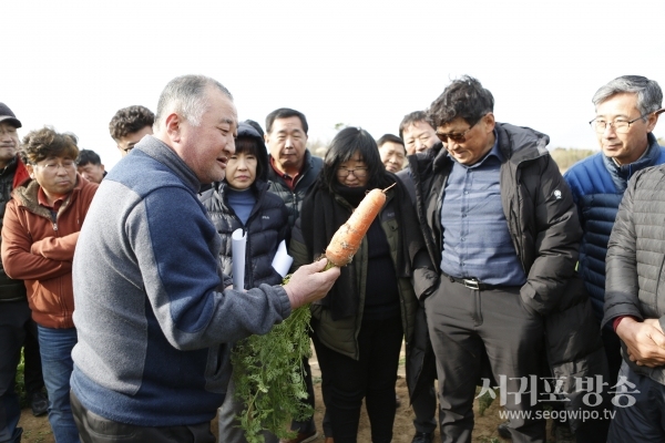 동부농업기술센터는 신품종 당근 ‘탐라홍’에 대한 농가 실증재배를 확대 추진한다.