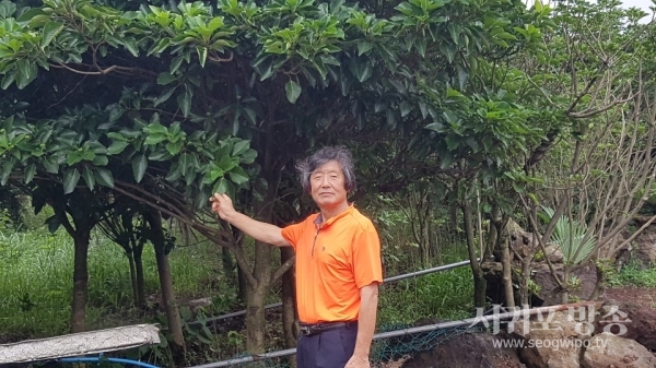 황길수 대표가 황칠재배지에서 황칠에 대한 설명을 해주고 있다.