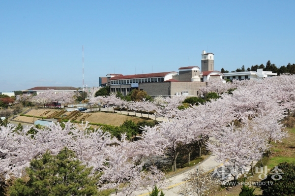 제주특별자치도 인재개발원 청사 전경