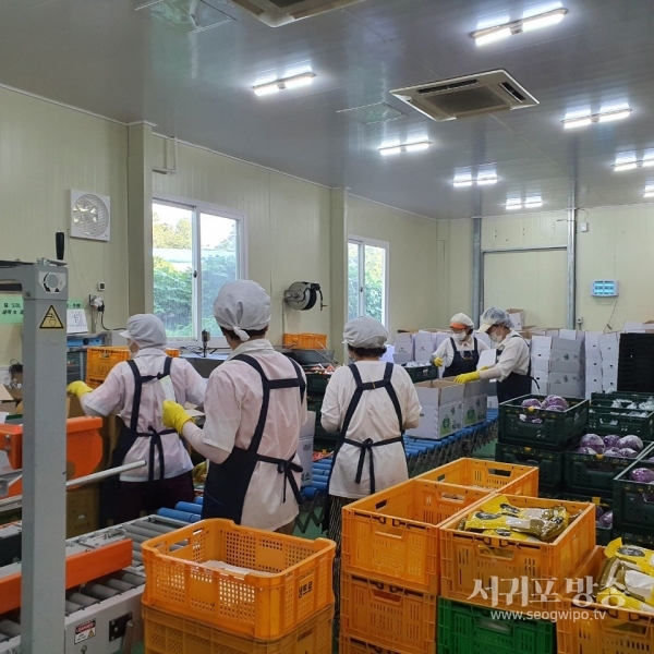 도교육청, 격주등교 학생 가정에 친환경농산물 꾸러미 배송 시작