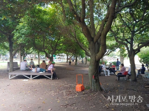 제주지역 코로나19 재확산 우려 속, 체육공원에선 윶놀이 도박 성행 방역 엇박자 (사진- 노인들이 대부분 마스크를 착용치 않았다, 제보자 제공)