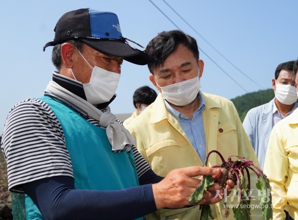 원희룡 지사, 3일, 외도 월대천·애월읍 농가 등 9호 태풍 ‘마이삭’ 피해현장 방문