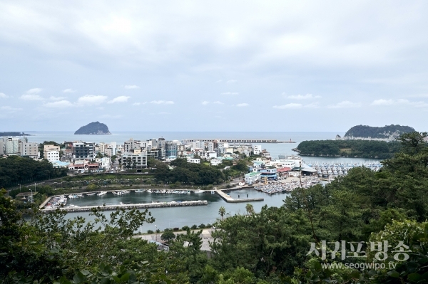 김태엽 시장, 웰니스 서귀포 도심 도보투어 현장 서귀포항 일원 답사