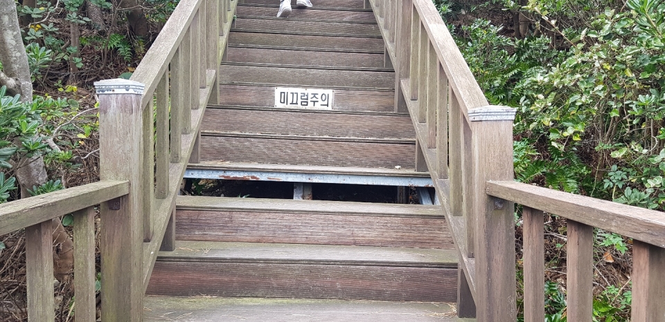 정상으로 올라가는 계단이 뜯겨있어 어린이들이 위험한 상태