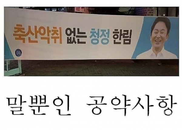 제주환경약자 안관홍 대표의 에스앤에스에 올린 사진