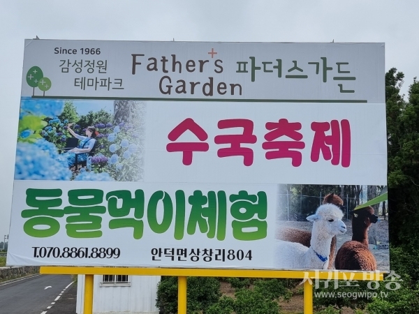 파더스 가든 수국축제