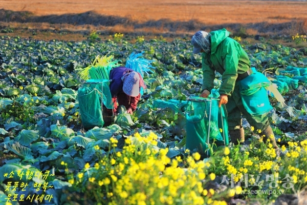 우포토시네마