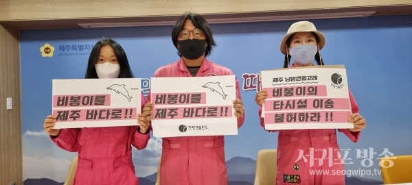 핫핑크돌핀스