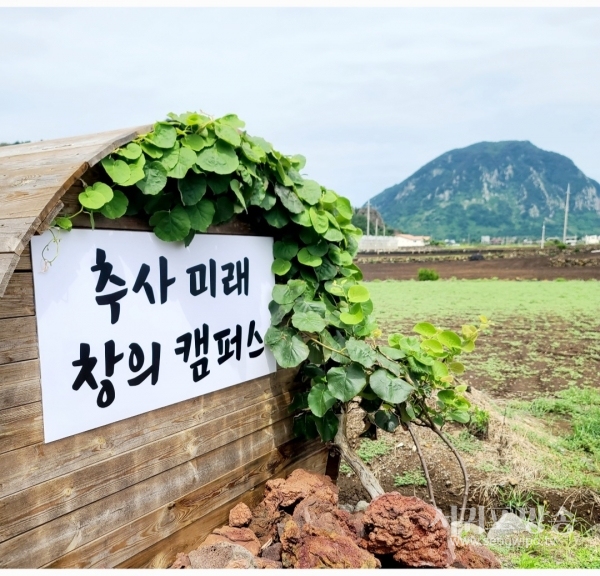 제주도 추사 창의캠퍼스