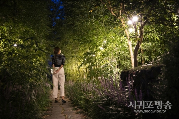 호캉스 인증샷에도 스토리가 있어야 추억이 된다