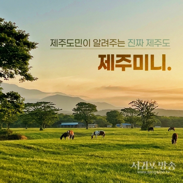 인플루언서 제주미니, 중기부 프리팁스 선정