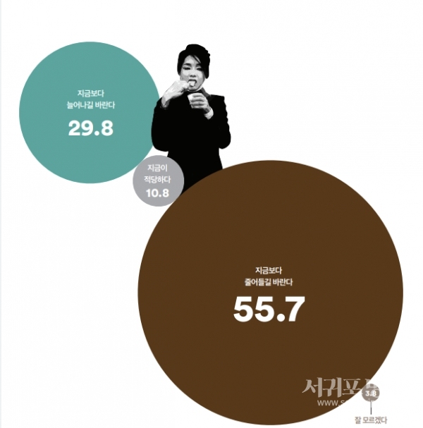 대통령 배우자의 대외활동