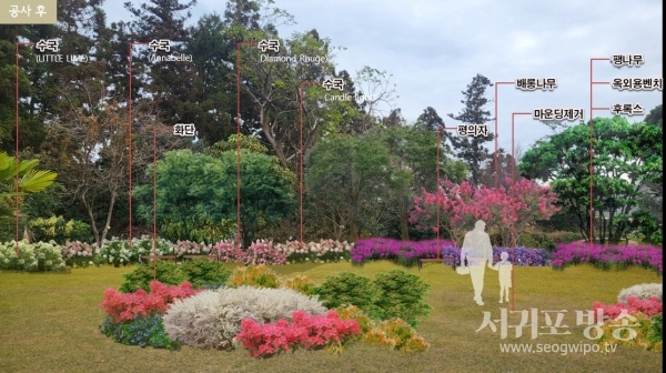 안덕초등학교 학교숲 조성후(안)