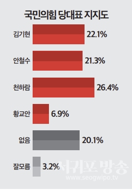 국민의힘 당대표 지지도