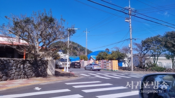 도로우측 만감류 적재되어 있고 주차된 화물차 옆으로 통행차량들이 기다리고 있다.