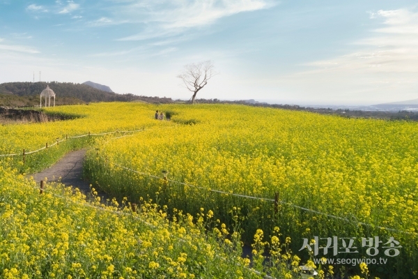 ‘신화가든’ (이미지 제공 : 제주신화월드)