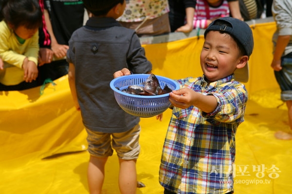 서귀포 보목자리돔 축제