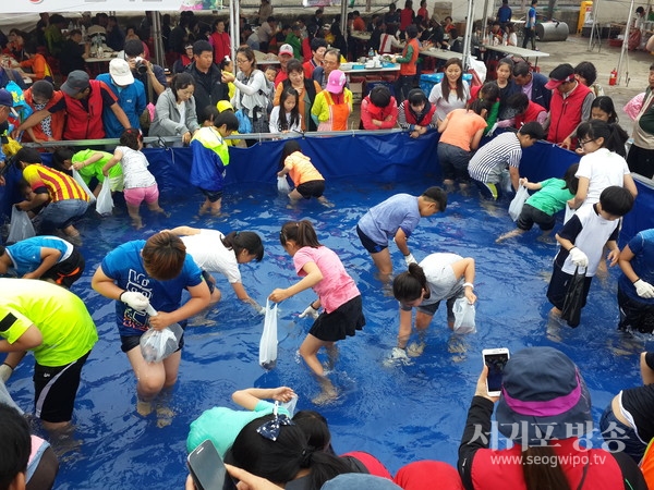 서귀포 보목자리돔 축제