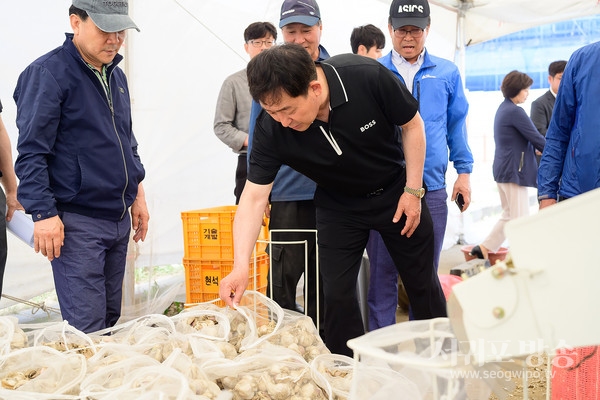 이종우 서귀포시장, 마늘 수매 현장 방문