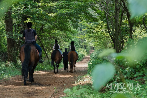 제주관광공사, 'Learning Holidays in Jeju' 발간