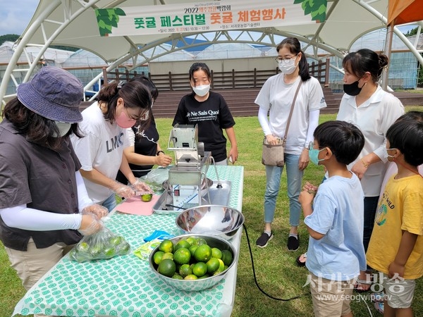 2023 제주감귤박람회 풋귤축제 개최