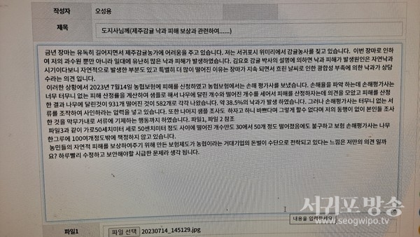 감귤나무에 달린 931개 중 582개가 떨어졌다는 내용