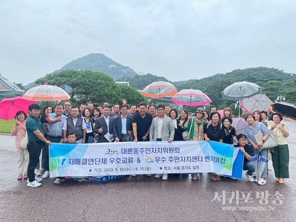 대륜동주민자치위원회