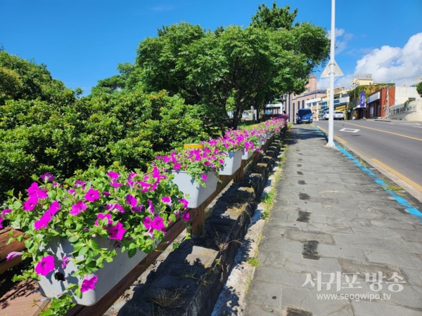 난간플랜트(태평로)