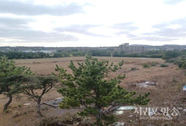 시흥공원 기후대응 도시숲 조성 대상지