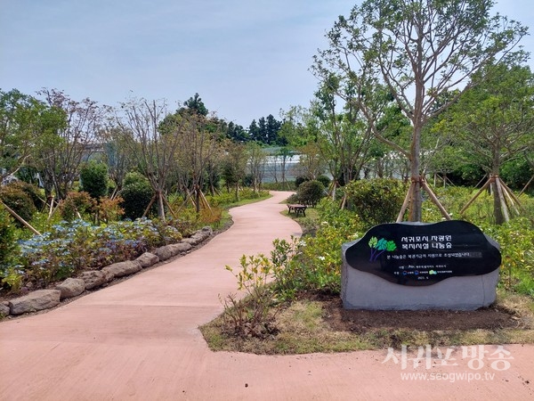 서귀포시 2024년 녹색 나눔숲 공모사업 선정