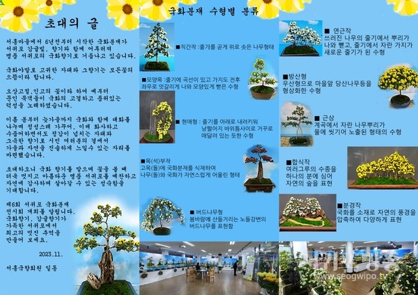 제6회 서귀포 국화분재 전시회