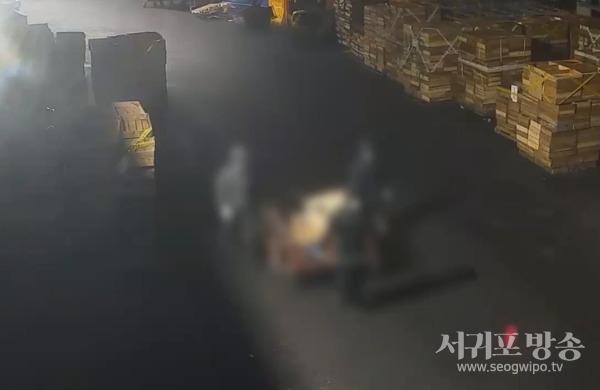 심야 정박 어선서 냉동갈치 훔친 외국인 선원 4명 검거