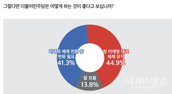 민주당 지도부 체제 변화 여부<br>