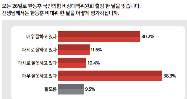 한동훈 비대위 한 달 평가