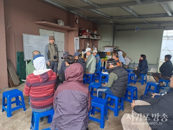 감귤 명인을 활용한 억대 전략 농가 육성 추진