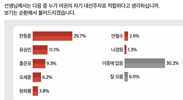 여권 차기주자 적합도