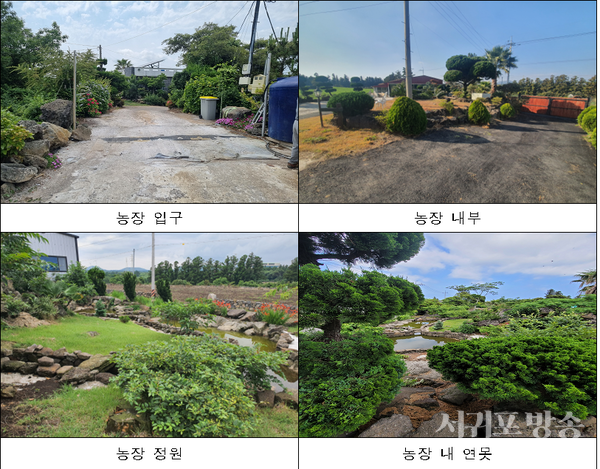 서귀포시는 축산농가의 자발적인 노력으로 깨끗한 축산환경에서 가축을 사육해 청정 축산업으로 발전하는 전기를 마련하고자 '깨끗한 축산농장 지정 사업' 참여 신청을 연중 접수중에 있다.